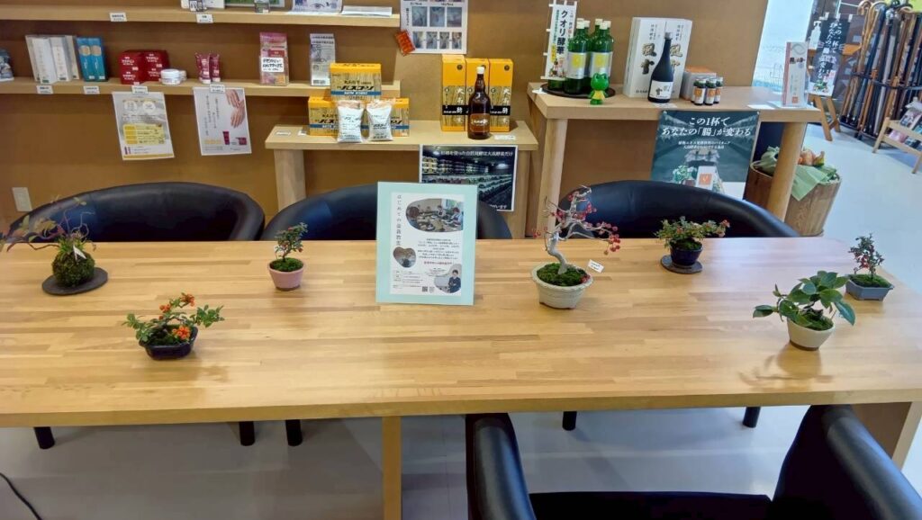 にこにこ薬局（千葉県佐倉市）第一回 盆栽教室