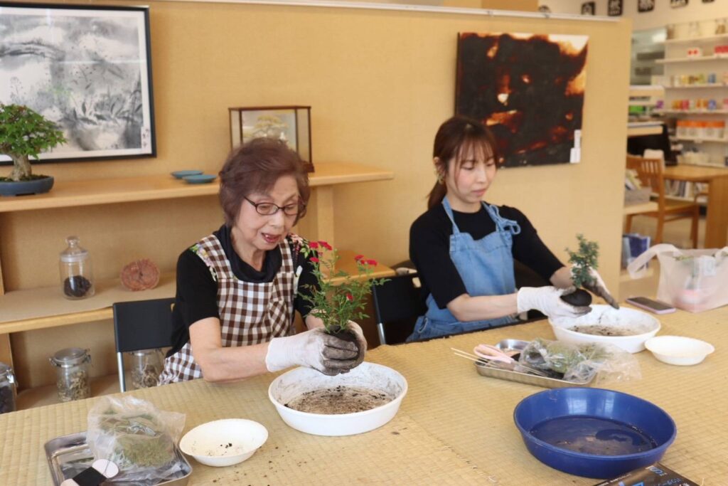ミニバラの苗を鉢に植え込む参加者