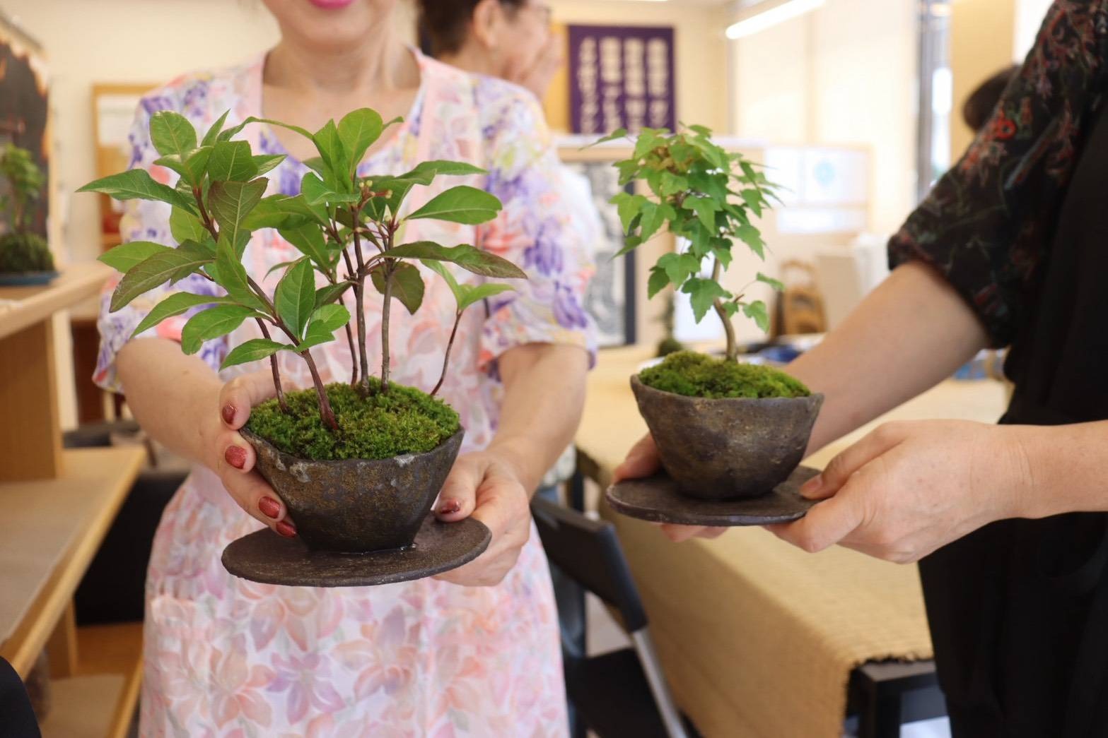 完成した2点の盆栽作品。左はヤブコウジ、右はカエデ