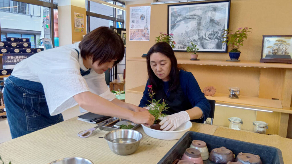 にこにこ薬局の盆栽教室で講師が参加者に手を添えて指導する様子