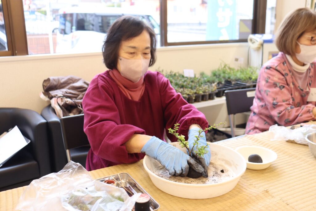 参加者が土をこねて苔玉を作っている様子