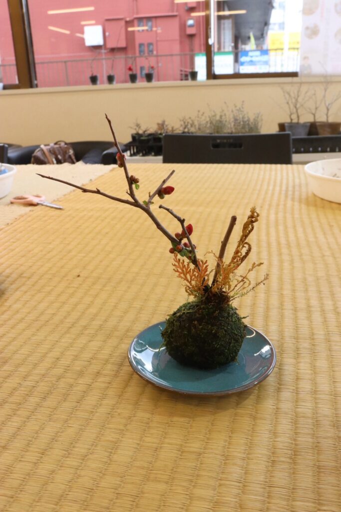 にこにこライフ教室｜盆栽教室