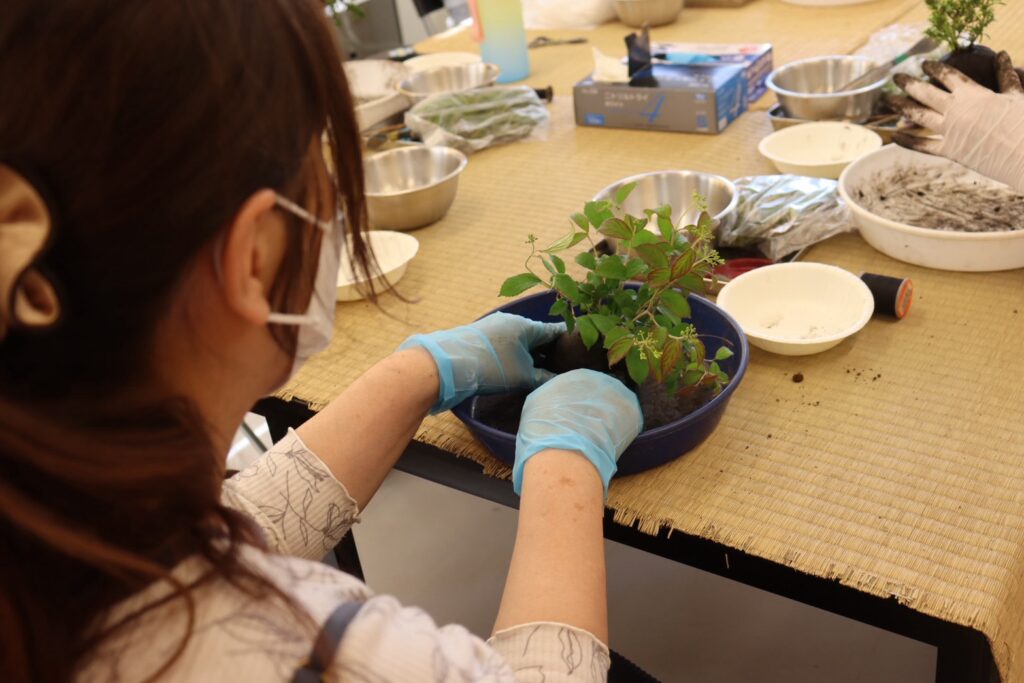 盆栽の植え付け作業に集中する参加者