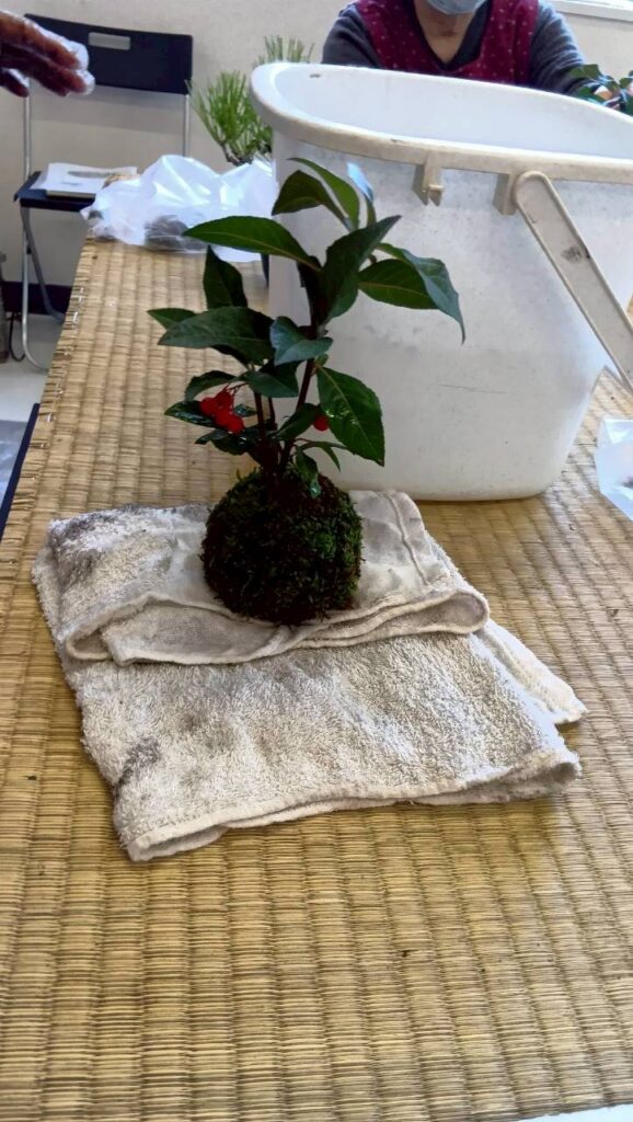 にこにこ薬局（千葉県佐倉市）第一回 盆栽教室